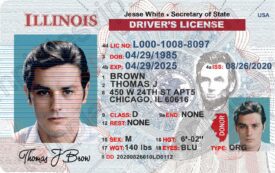Illinois (IL) – Drivers License PSD Template Download 2022