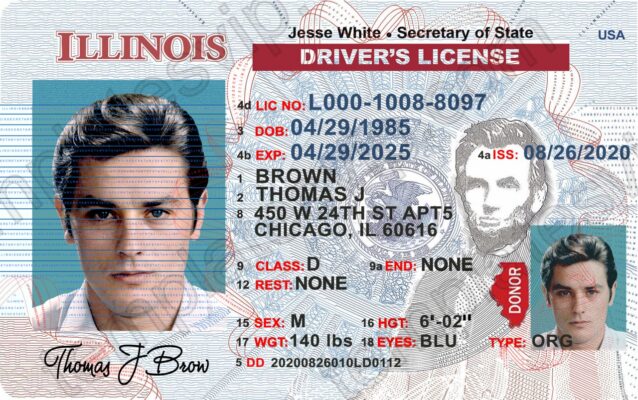 illinois drivers license template free