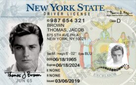 New York (NY) – Driver's License PSD Template Download