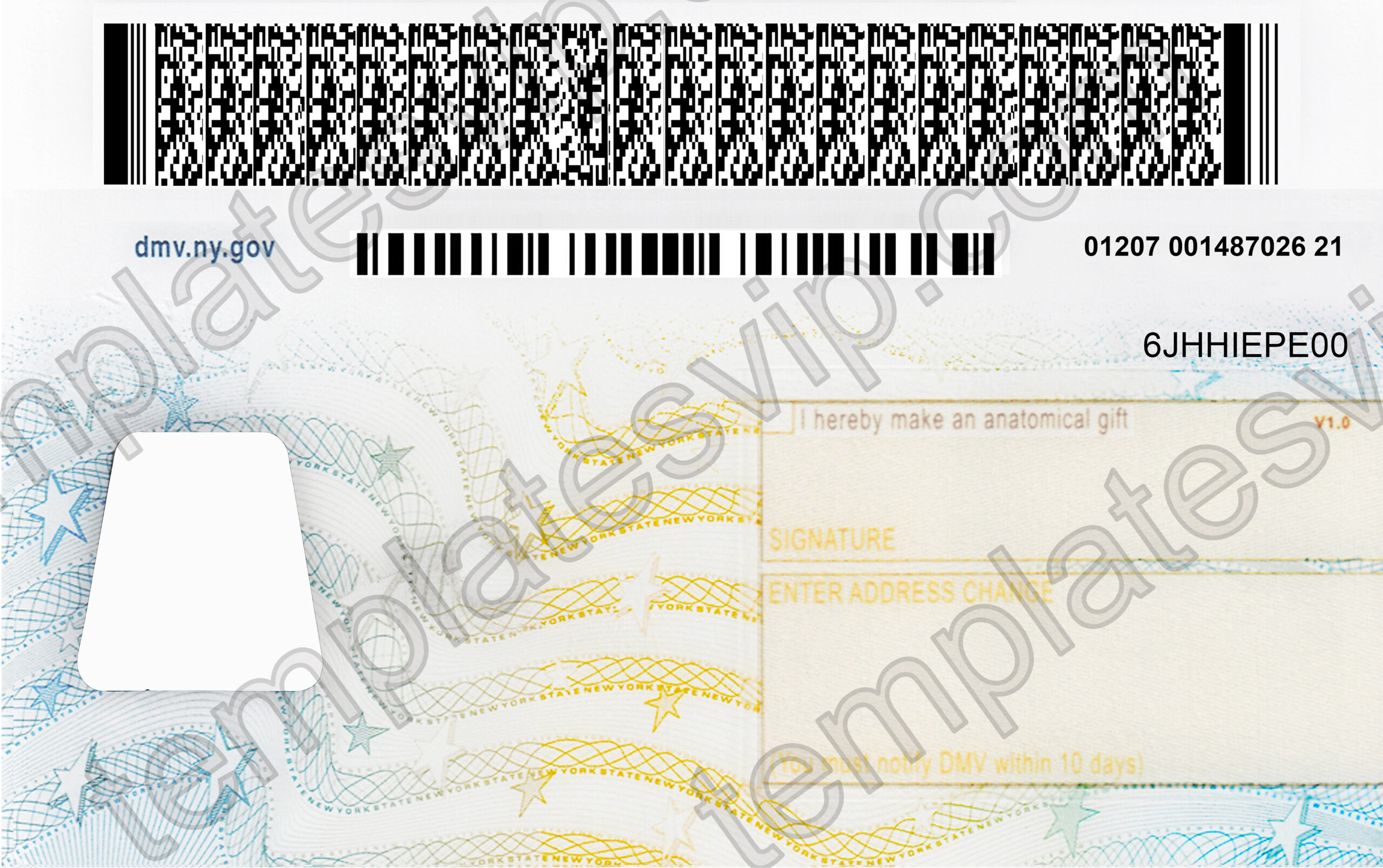 New York (NY) Driver’s License PSD Template Download Templates