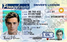Pensylvania (PA) – Driver's License PSD Template Download 2022