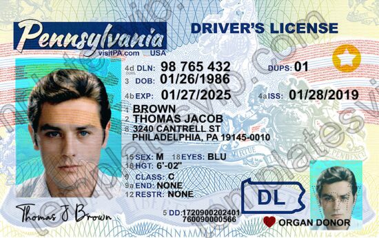 Pensylvania (PA) – Driver's License PSD Template Download 2022