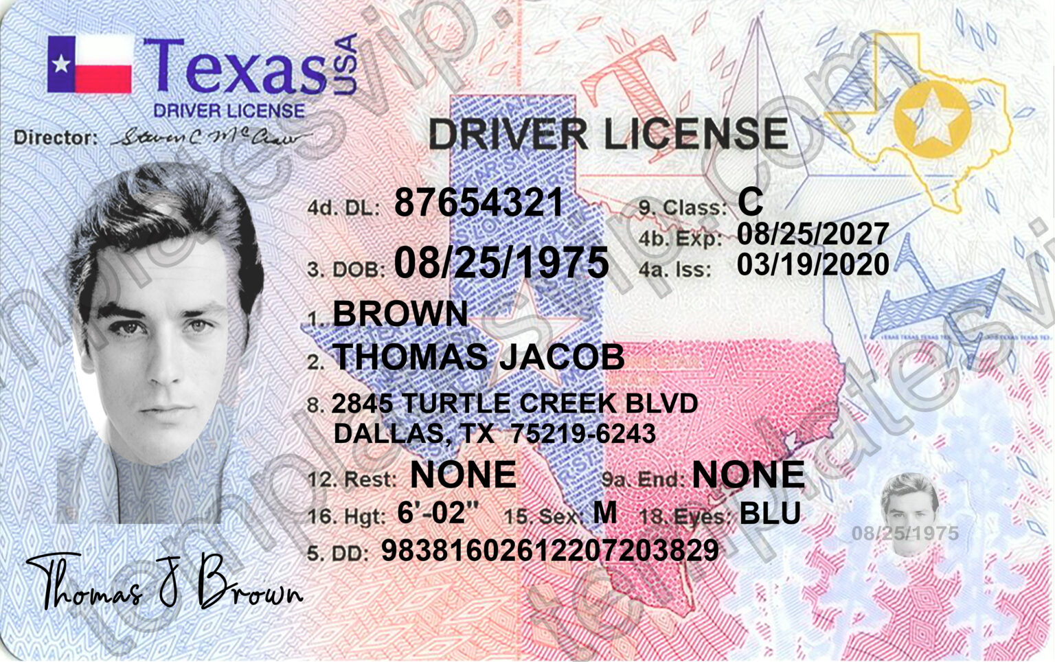 Texas (TX) Driver’s License PSD Template Download 2022 Templates