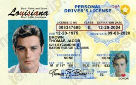 Louisiana (LA) – Driver's License PSD Template Download