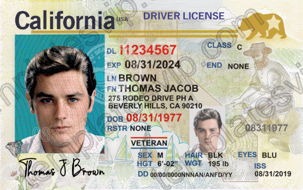 California (CA) – Driver’s License PSD Template Download – Templates ...