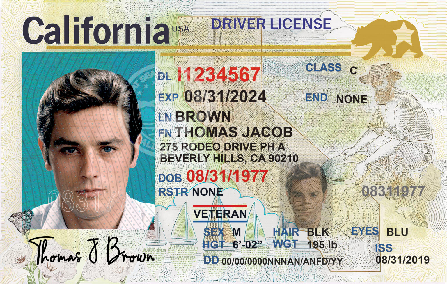 California (CA) Driver’s License PSD Template Download Templates