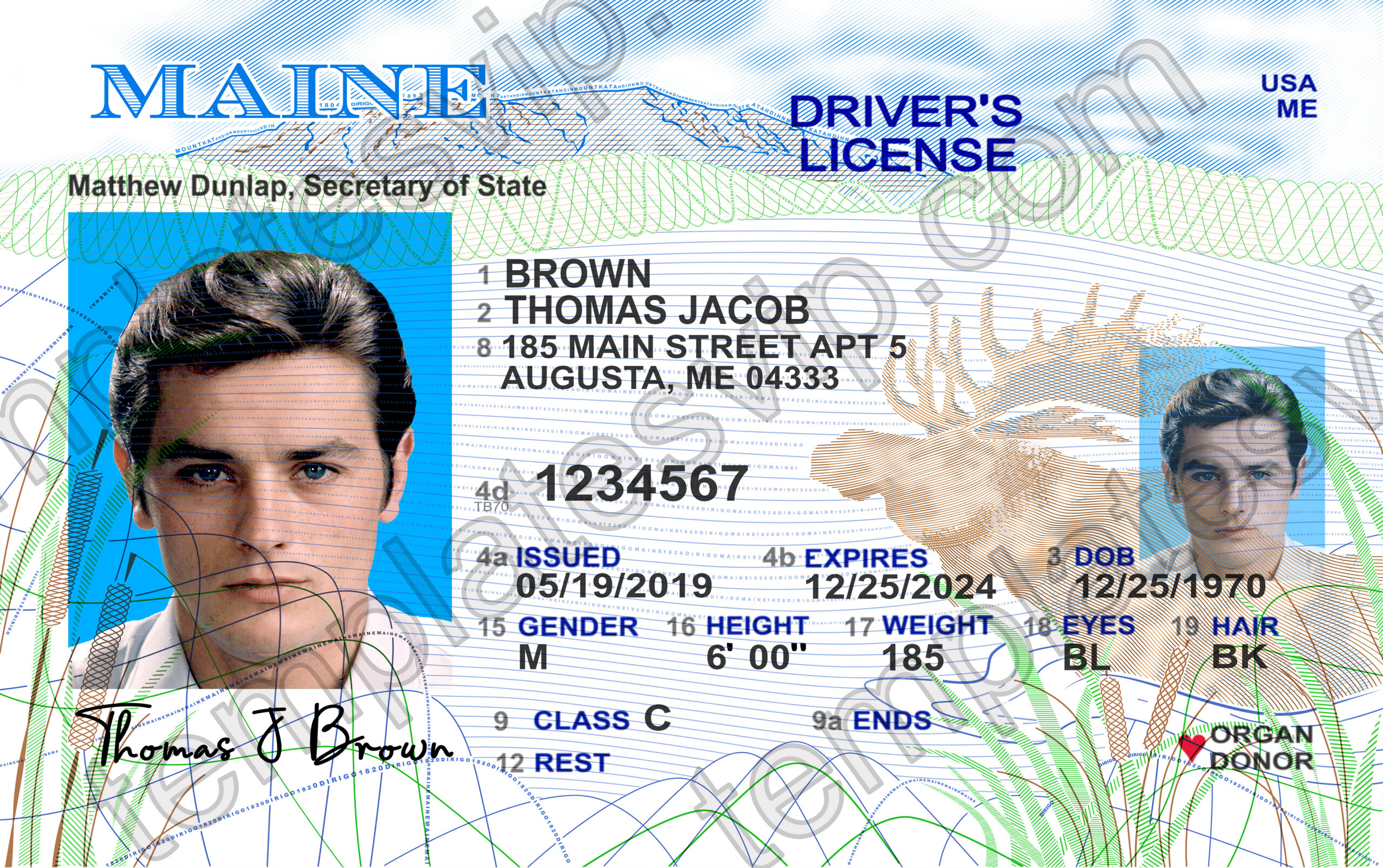 Maine (ME) Driver’s License PSD Template Download Templates drivers