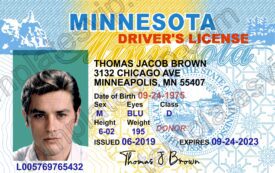 Minnesota  (MN) – Driver's License PSD Template Download