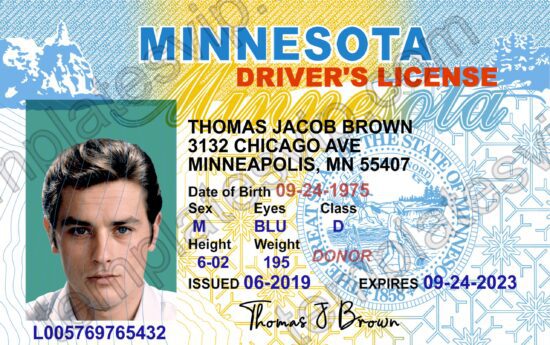 Minnesota  (MN) – Driver's License PSD Template Download