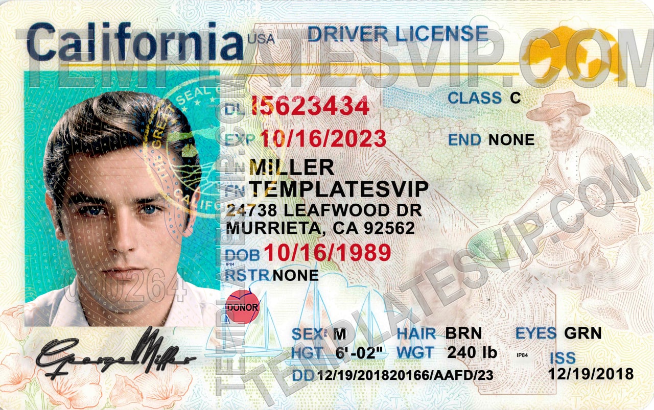 california drivers license template free download