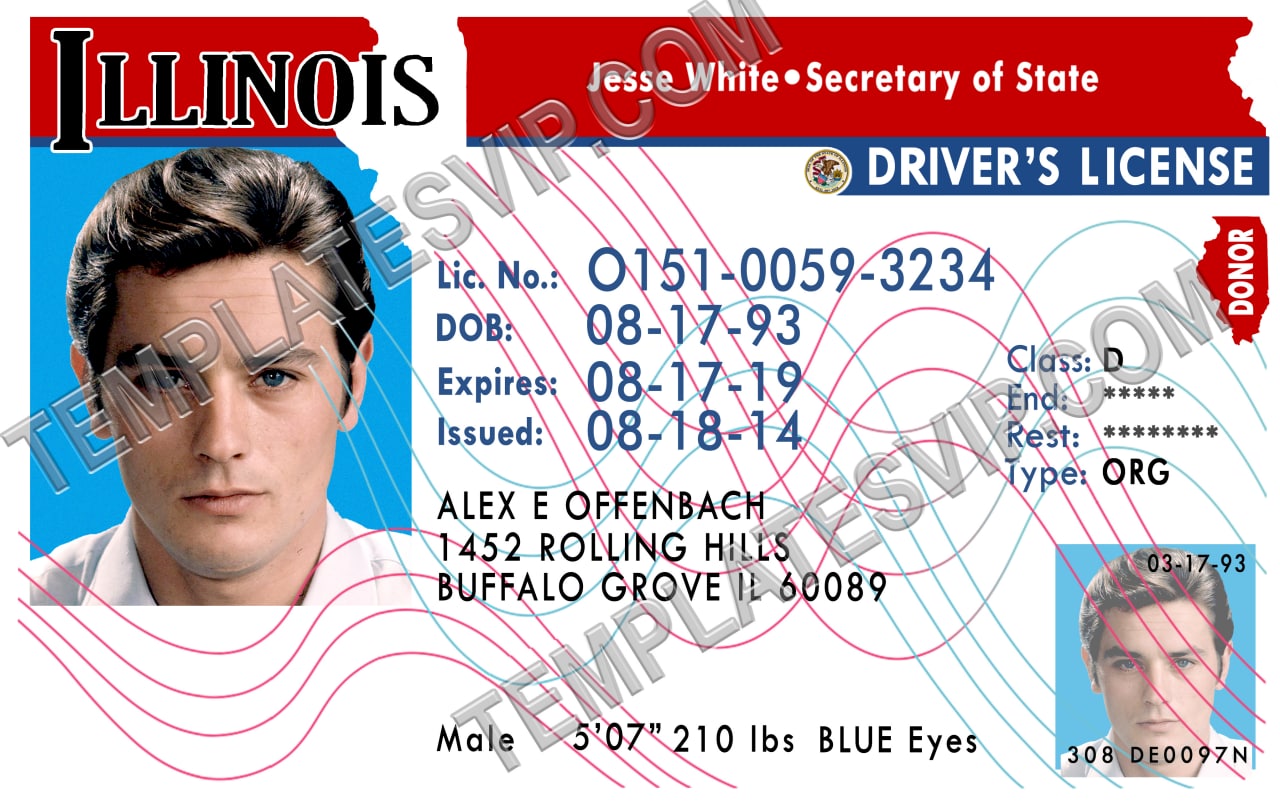 Illinois (IL) – Drivers License PSD Template Download Old – Templates ...