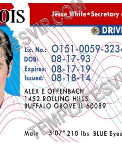 Illinois (IL) – Drivers License PSD Template Download Old