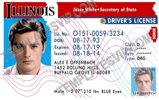 Illinois (IL) – Drivers License PSD Template Download Old