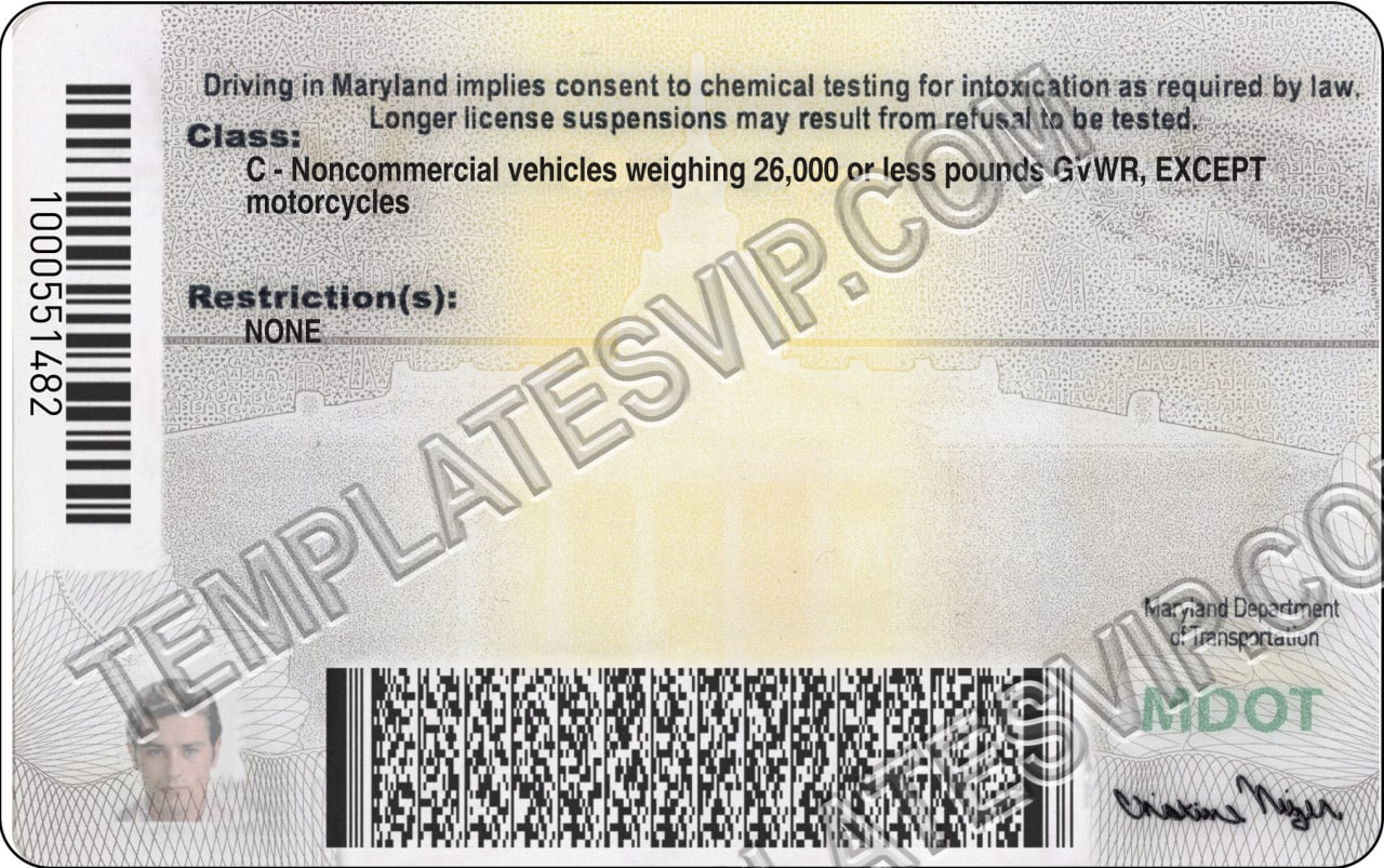 Maryland Md Drivers License Psd Template Download 2021 Templates