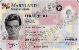 Maryland (MD) – Drivers License PSD Template Download 2021