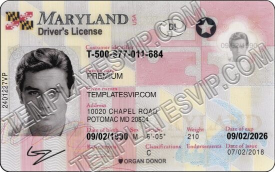 Maryland (MD) – Drivers License PSD Template Download 2021