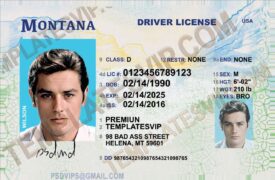 Montana (MT) – Drivers License PSD Template Download