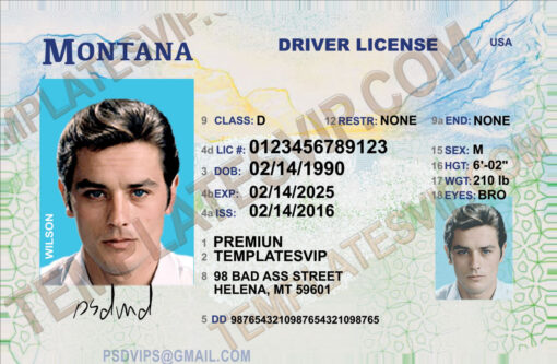 Montana (MT) – Drivers License PSD Template Download