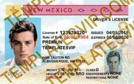 New Mexico (NM) – Drivers License PSD Template Download 2022