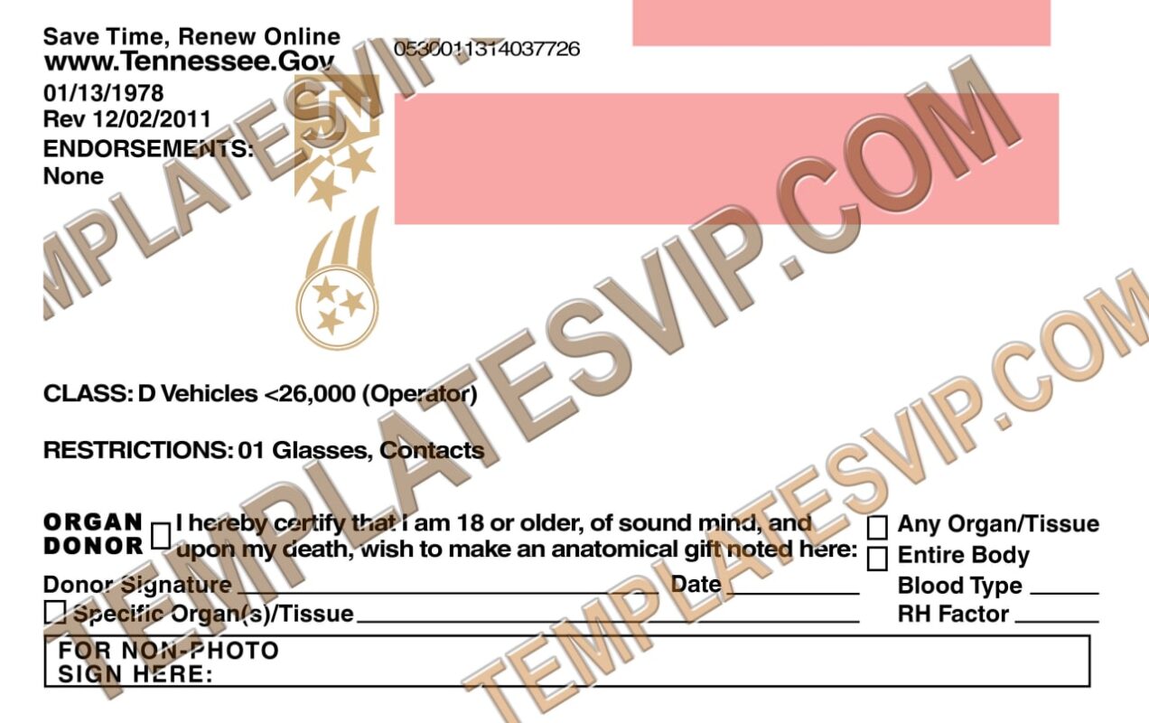 Tennessee TN Drivers License PSD Template Download Templates   Tennessee TN – Drivers License PSD Template Download BACK 1272x800 