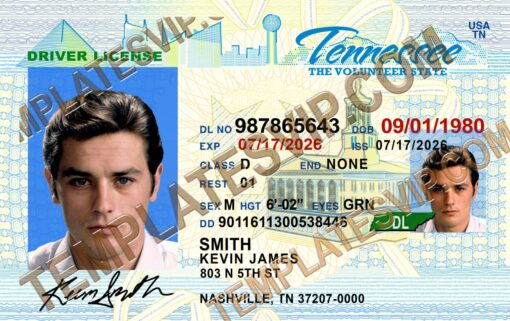 Tennessee (TN) – Drivers License PSD Template Download