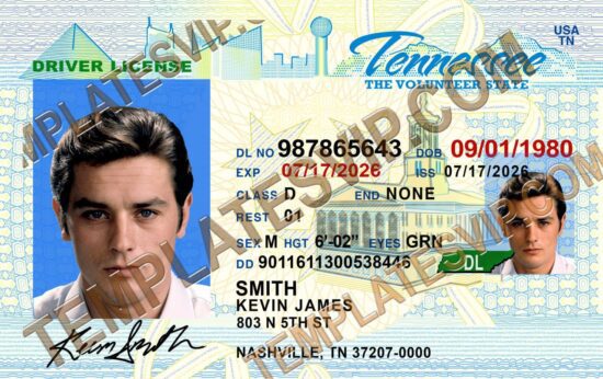 Tennessee (TN) – Drivers License PSD Template Download