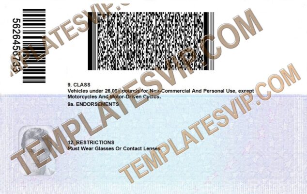 Washington DC (DC) – Drivers License PSD Template Download 2022 ...