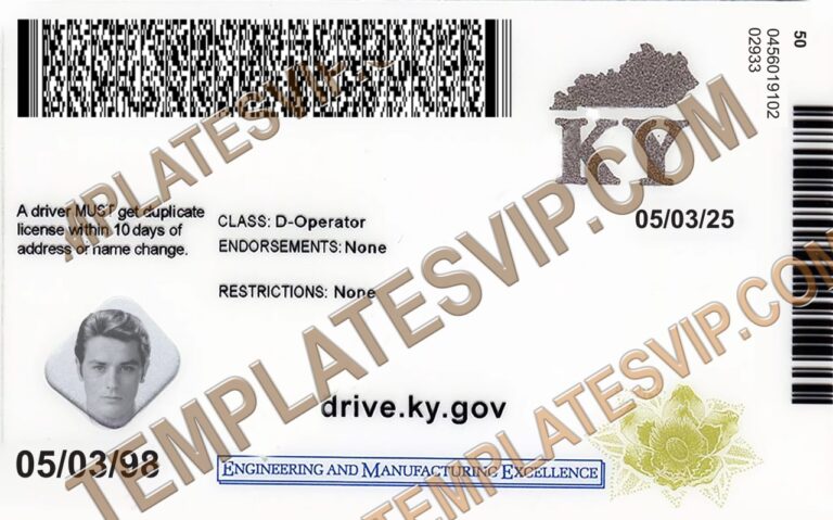 Kentucky KY Drivers License PSD Template Download 2022 Templates   Kentucky KY – Drivers License PSD Template Download 2022 Back 768x479 