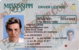 Mississippi (MS) – Drivers License PSD Template Download 2022