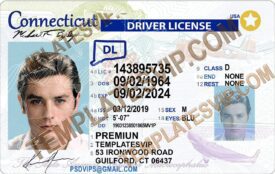 Connecticut (CT) – Drivers License PSD Template Download 2022