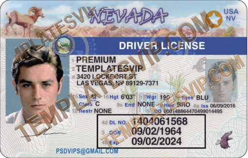 Nevada (NV) – Drivers License PSD Template Download 2021