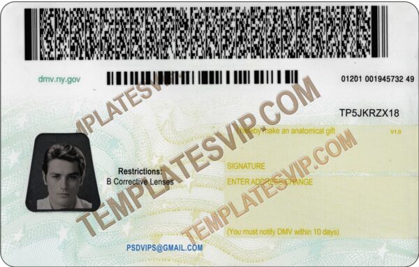 New York (NY) V2– Drivers License PSD Template Download 2021