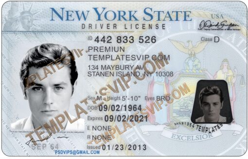 New York (NY)  V2– Drivers License PSD Template Download 2021