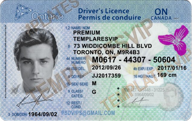 On Ontario Drivers License Psd Template Download 2021 Templates Drivers Licenses Premium 0394