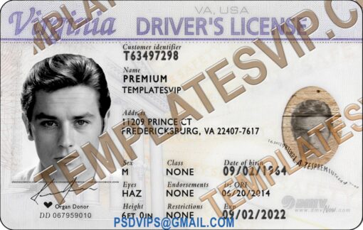 Virginia (VA) – Drivers License PSD Template Download