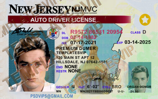 New Jersey (NJ) – Drivers License PSD Template Download 2023 V2