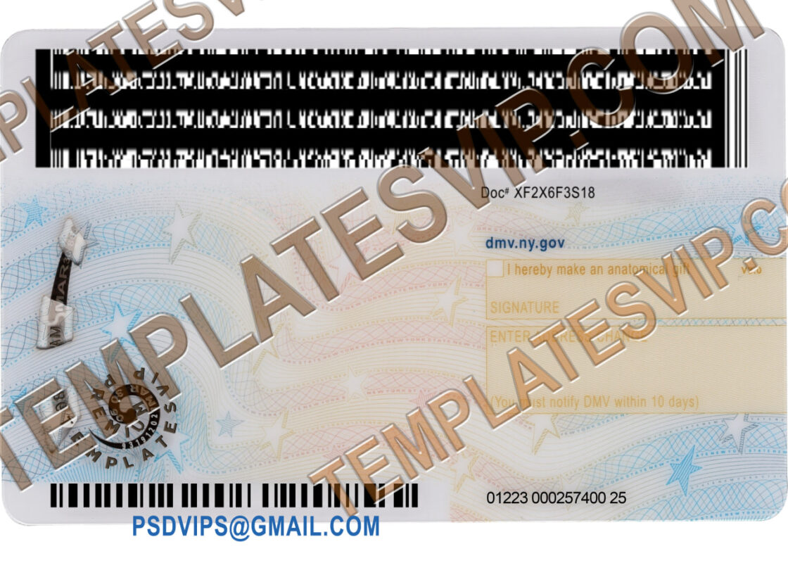 New York (NY) Drivers License PSD Template Download 2023 V2