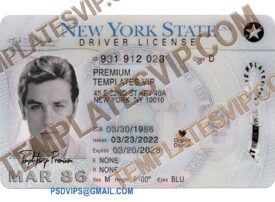 New York (NY) – Drivers License PSD Template Download 2023 V2