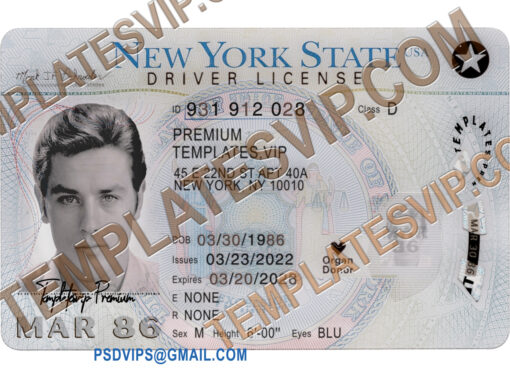 New York (NY) – Drivers License PSD Template Download 2023 V2