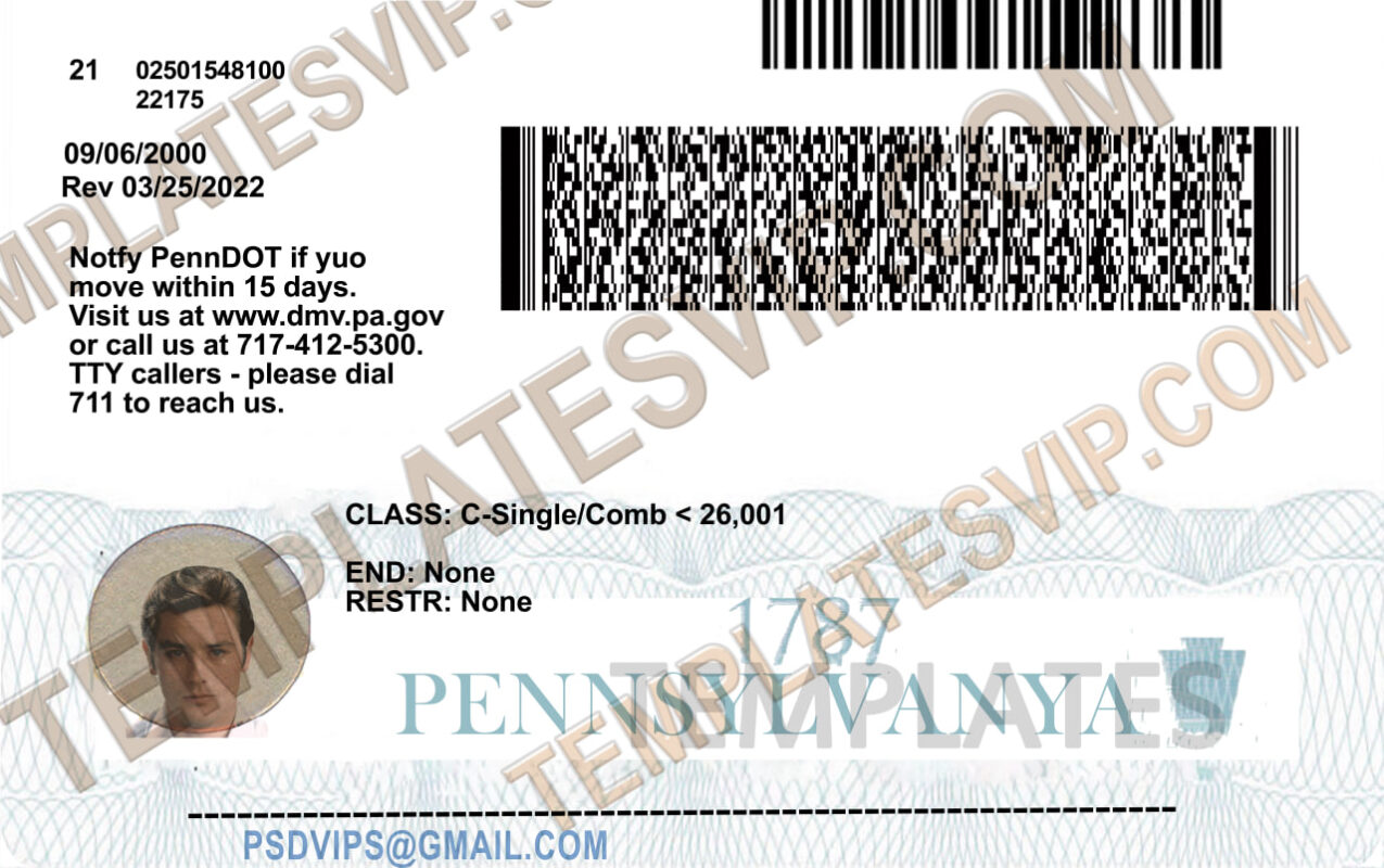 Pennsylvania (PA) Drivers License PSD Template Download 2023 Templates drivers licenses premium