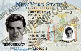 New York (NY) – Driver's License PSD Template Download NISCA 2022
