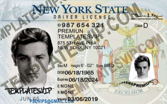 New York (NY) – Driver's License PSD Template Download NISCA 2022