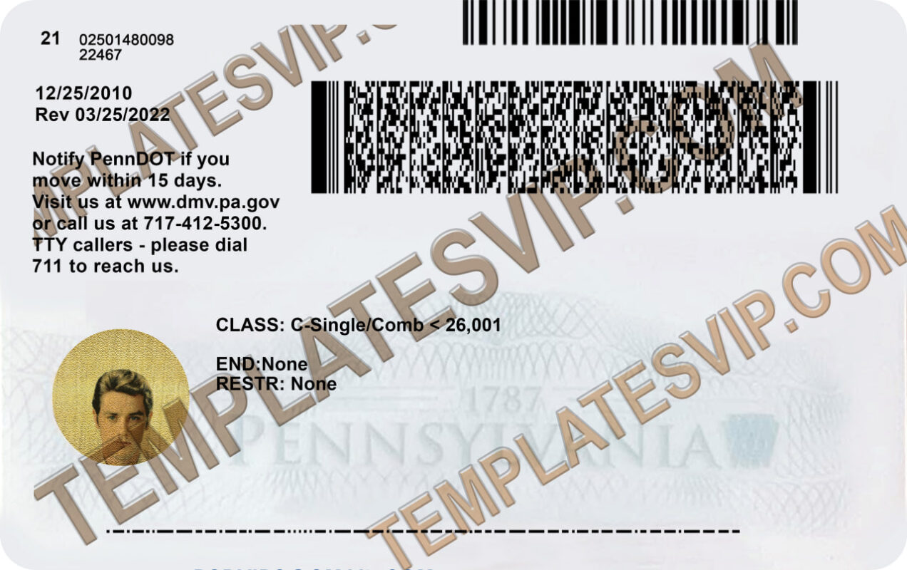 Pennsylvania (PA) Drivers License PSD Template Download 2023 V2