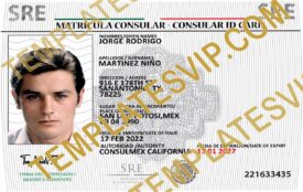 Matricula Consular Mexico  (MX) – PSD Template Download 2022