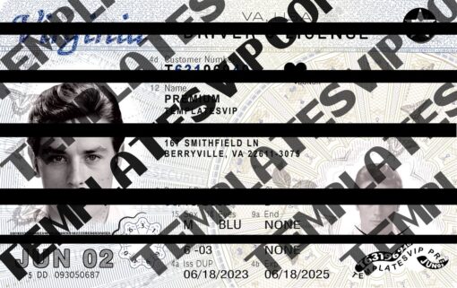Virginia (VA) – Drivers License PSD Template Download 2024 Vector Raise 2400Dpi UV