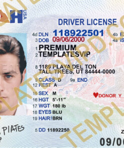 Utah (UT) – Drivers License PSD Template Download 2023 V2 UV Layer 2400dpi