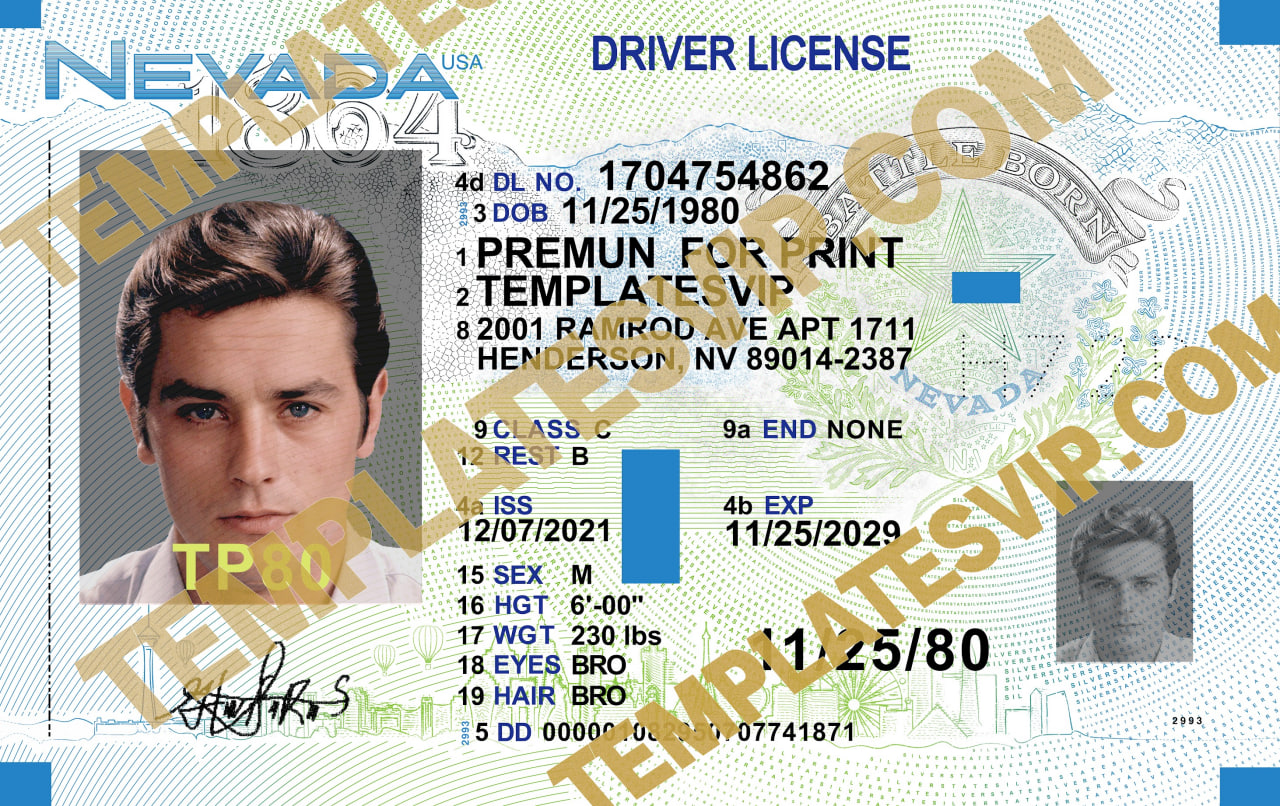 Nevada (NV) – Drivers License V2 PSD Template Download 2023 – Templates ...