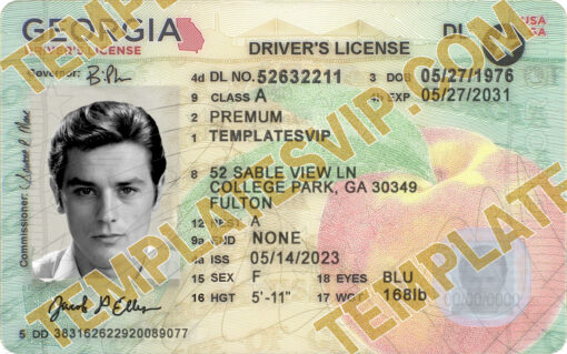 Georgia (GA) NEW- Drivers License PSD V2 Template Download 2022 2400D