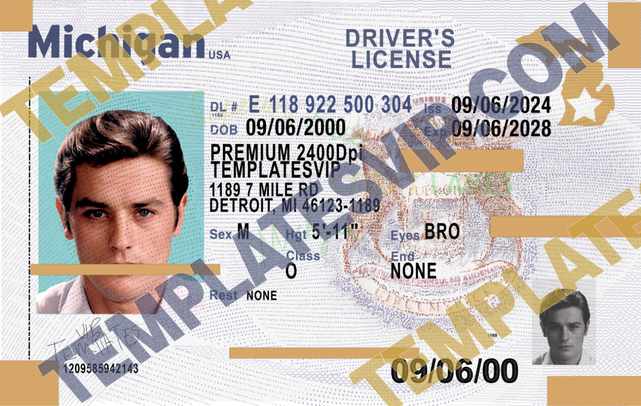 Templates 2024 Templates drivers licenses premium Templates 2024 Templates drivers licenses premium
