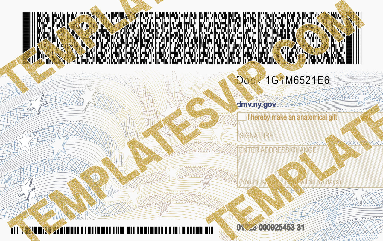 New York (NY) – Drivers License PSD Template Download 2023 V3 UV LAYER ...